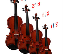 Скрипка + футляр, различные размеры