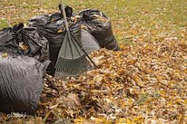 Уборка и вывоз мешков с листьями !!!