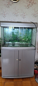 Akvaarium