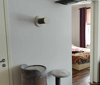 Kassi ronimispuu ja seina külge kinnitatav pesa