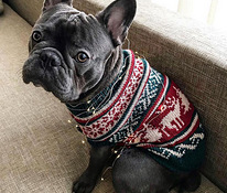 Тёплые свитера для собак