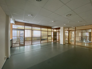Laki tn 25, Mustamäe, Tallinn, Harjumaa (2 foto / 8)