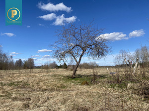 Pärnu maakond, Põhja-Pärnumaa vald, Viluvere küla (4 foto / 10)