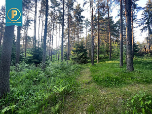 Lepiku tee 28b, Pirita, Tallinn, Harjumaa (3 foto / 13)