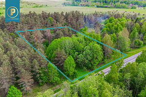 Harju maakond, Lääne-Harju vald, Madise küla, Kotka (3 foto / 5)