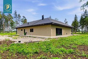 Rapla maakond, Märjamaa vald, Orgita küla, Haldja (39 foto / 48)