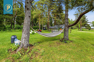 Rapla maakond, Märjamaa vald, Orgita küla, Haldja (46 foto / 48)