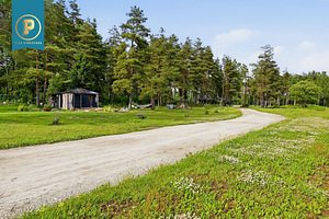 Rapla maakond, Märjamaa vald, Orgita küla, Haldja (48 foto / 48)