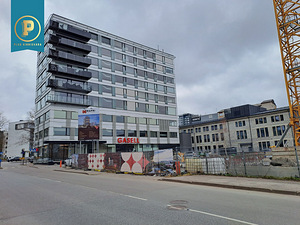 Pärnu mnt 130, Kesklinna, Tallinn, Harjumaa (5 foto / 6)