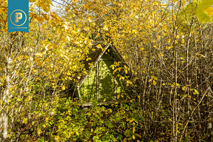 Mererahu, Kiviküla, Haapsalu linn, Läänemaa (48 foto / 56)