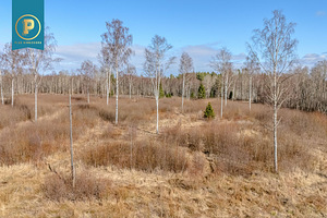 Jälgimäe tee, Laagri, Saue vald, Harjumaa (11 foto / 13)