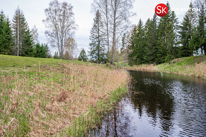 Valga maakond, Otepää vald, Nüpli küla, Köörimäe 6 (50 foto / 59)