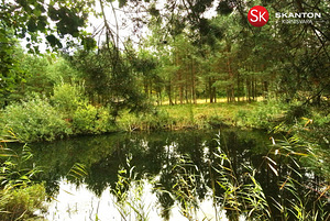 Lääne maakond, Lääne-Nigula vald, Telise küla/Tällnäs, Tuule (10 foto / 20)