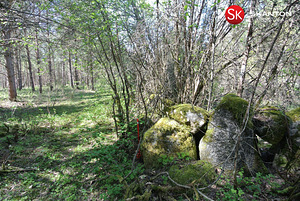 Lääne maakond, Lääne-Nigula vald, Hara küla/Harga, Kõrkja (8 foto / 19)