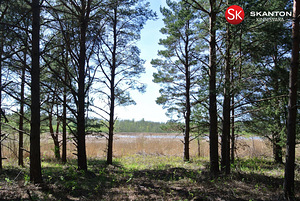 Lääne maakond, Lääne-Nigula vald, Hara küla/Harga, Kõrkja (1 foto / 10)