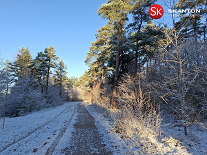 Raba tn 6, Palivere, Lääne-Nigula vald, Läänemaa (35 foto / 35)