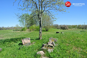 Pihlaka, Koluvere, Lääne-Nigula vald, Läänemaa (8 foto / 16)