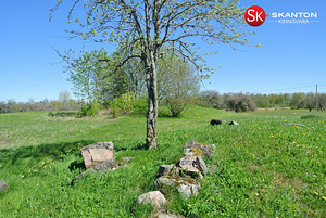 Pihlaka, Koluvere, Lääne-Nigula vald, Läänemaa (8 foto / 18)