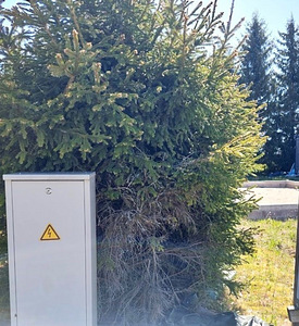 Pihlaka, Koluvere, Lääne-Nigula vald, Läänemaa (16 foto / 16)