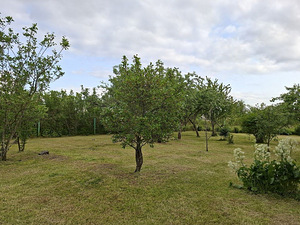 Tara tee 36, Nõmme, Haapsalu linn, Läänemaa (31 foto / 34)