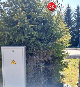 Pihlaka, Koluvere, Lääne-Nigula vald, Läänemaa (5 foto / 15)