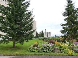 Kuuse tn 26, Laagri, Saue vald, Harjumaa (13 foto / 15)