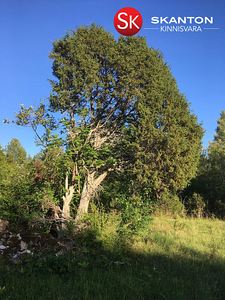 Kruusa, Ridala, Saaremaa vald, Saaremaa (2 foto / 19)