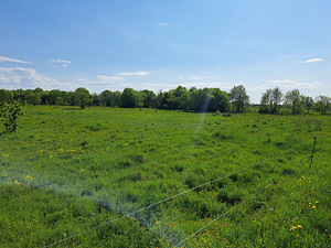 Merilahe, Suurupi, Harku vald, Harjumaa (19 foto / 19)
