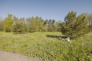 Sepametsa tee 4, Jõgisoo, Saue vald, Harjumaa (15 foto / 37)
