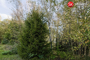 Hallikivi tee 3d, Tammneeme, Viimsi vald, Harjumaa (6 foto / 23)