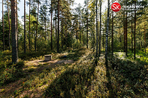 Tedre tee 23, Kauksi, Alutaguse vald, Ida-Virumaa (24 foto / 32)
