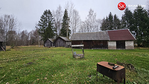 Tartu maakond, Peipsiääre vald, Metsanurga küla (6 foto / 39)