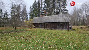 Tartu maakond, Peipsiääre vald, Metsanurga küla (13 foto / 39)