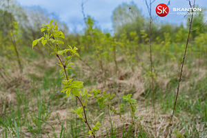 Pärnu maakond, Pärnu linn, Kabriste küla (12 foto / 22)