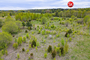 Pärnu linn, Pärnumaa (11 foto / 22)
