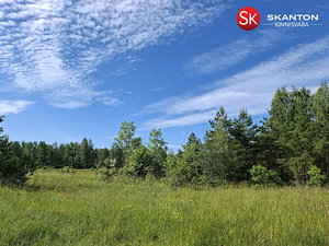 Nõmmeliiva, Rohuküla, Haapsalu linn, Läänemaa (2 foto / 12)