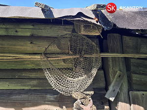 Kikka, Ristipalo, Räpina vald, Põlvamaa (59 foto / 93)