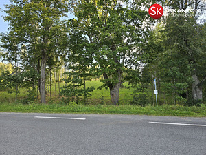 Tammeoksa, Veskimäe, Kastre vald, Tartumaa (2 foto / 22)