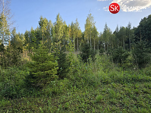 Tammeoksa, Veskimäe, Kastre vald, Tartumaa (6 foto / 22)