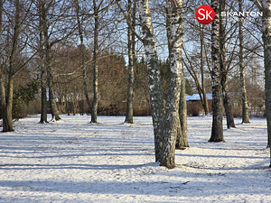 Tartu tn 13, Võnnu, Kastre vald, Tartumaa (47 foto / 48)