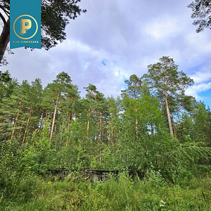 Piiri tee 11, Narva-Jõesuu, Narva-Jõesuu linn, Ida-Virumaa (22 foto / 31)