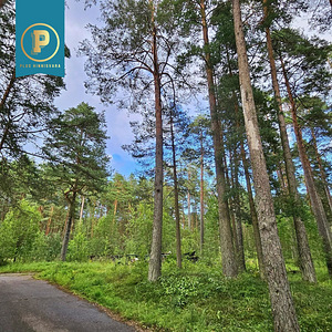 Piiri tee 11, Narva-Jõesuu, Narva-Jõesuu linn, Ida-Virumaa (23 foto / 31)
