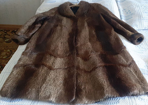 Müün uue nutria kasuka (3 foto / 8)