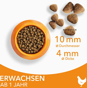 Kuivtoit kassidele IAMS Advanced Nutrition Adult Cat (2 foto / 4)