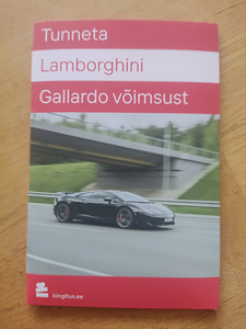 Kinkekaart,tunneta Lamborghini Gallardo võimsust (1 foto / 4)