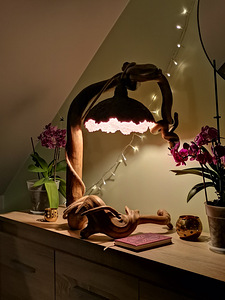 Hubast keskkonda tagav dekoorlamp (2 foto / 10)