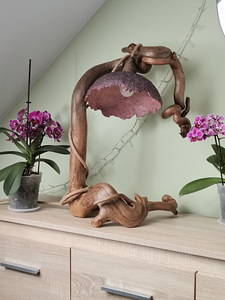 Hubast keskkonda tagav dekoorlamp (7 foto / 10)