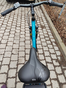 Elektrijalgratas Romet Gazela 1 RM, 28″ (5 foto / 6)