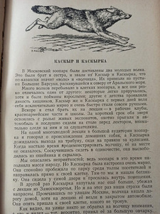 Loodusteadlaste lood. RAAMAT KOOLILASTELE (6 foto / 7)