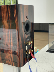 Monitor Audio Gold 100 5G (6 foto / 6)